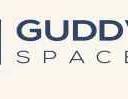 New Launch Guddwill Punawale logo
