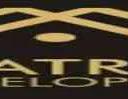 One Platinum logo