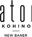 Kohinoor Satori logo