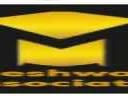 Maheshwaram Majestic Ravet logo
