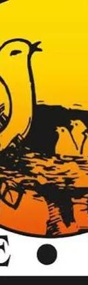 The Winds Bhugaon logo